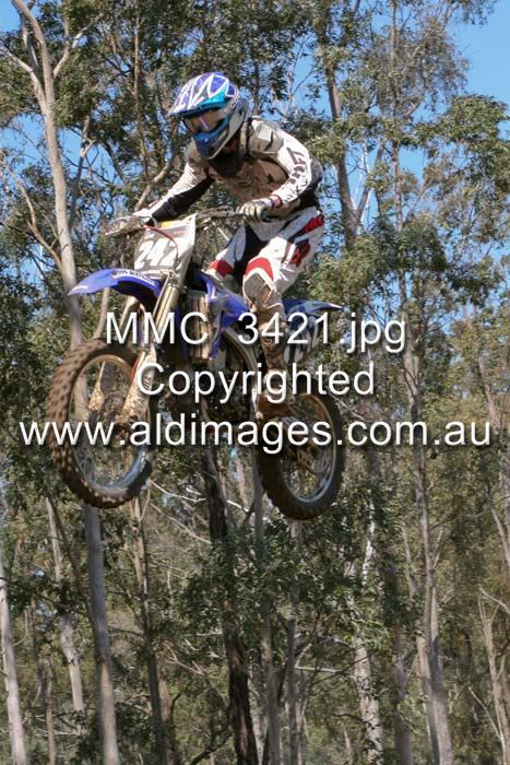 445x677 pixels (104K)